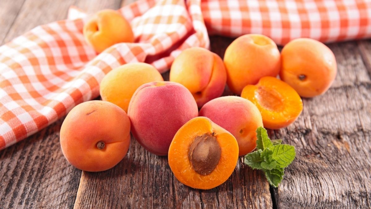 manfaat buah apricot bagi kesehatan ibu hamil