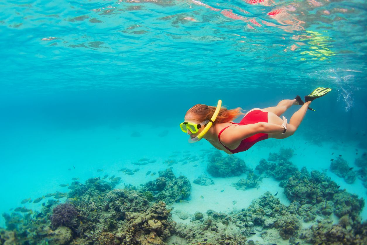 perbedaan diving dan snorkeling